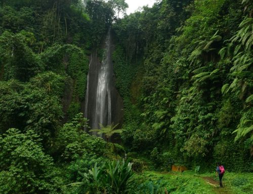 Duis tempor turpis neque