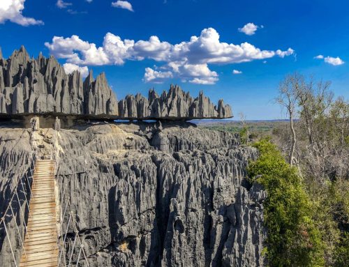 Nullam suscipit massi